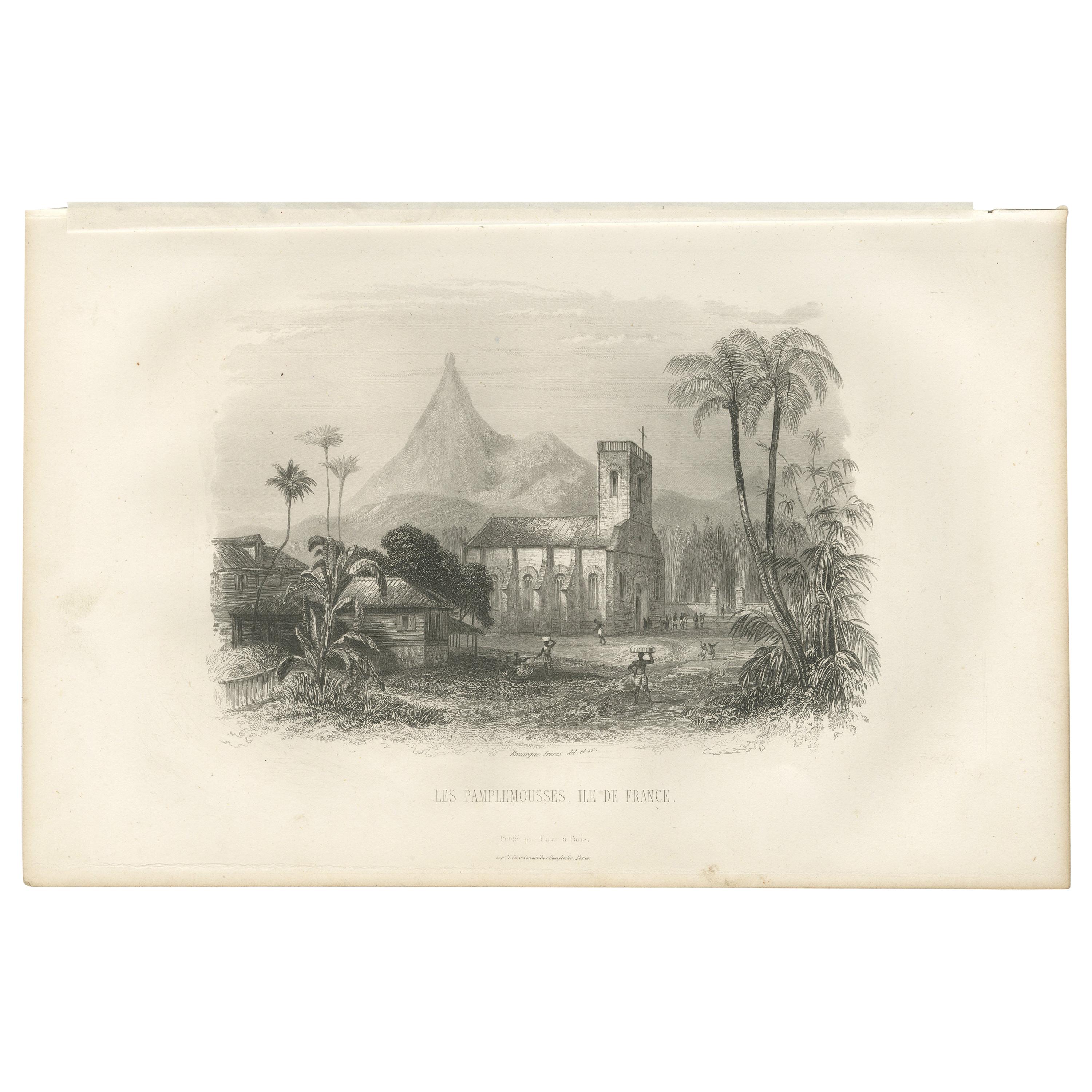 Antique Print of the Pamplemousse Garden on Île Maurice by D'Urville '1853' For Sale