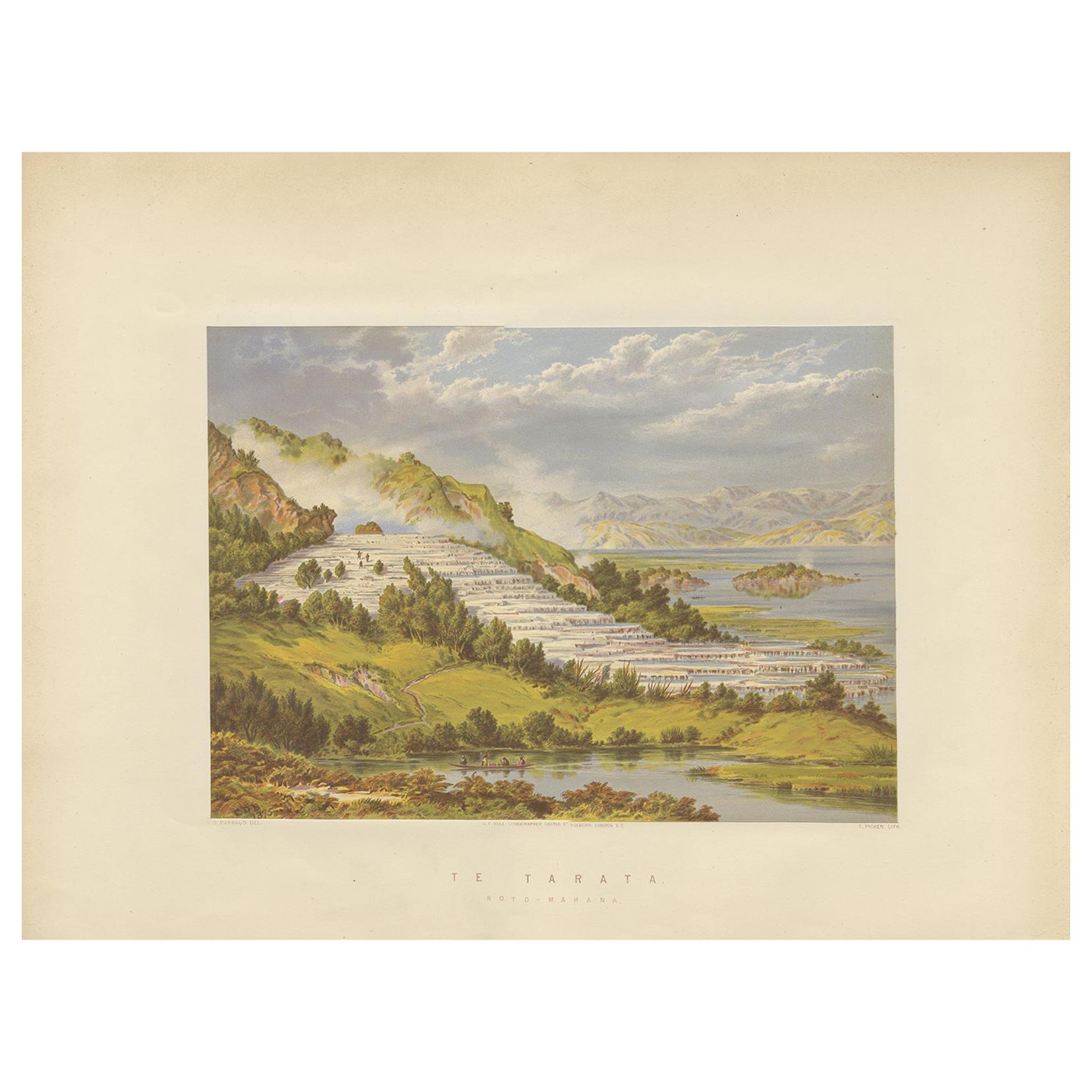Antique Print of the Pink and White Terraces 'New Zealand' by Picken, circa 1877 For Sale
