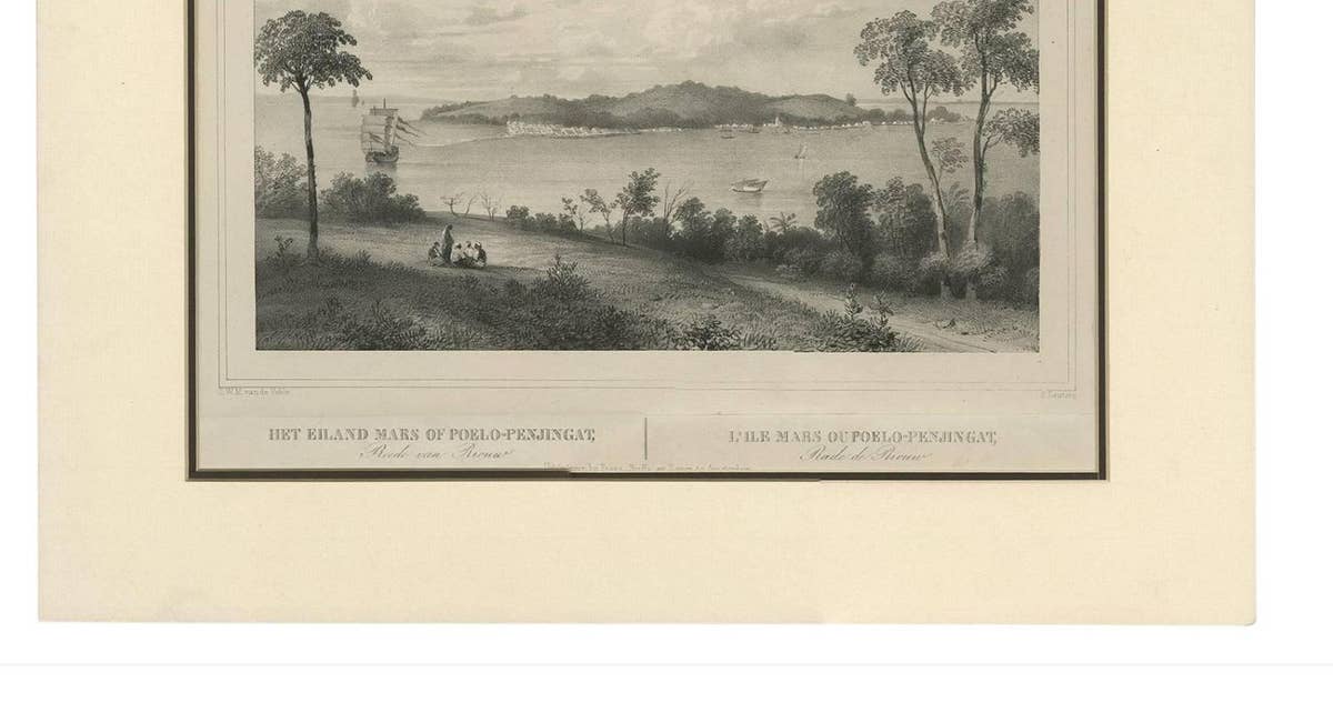 Antique Print of the Roadstead of Riau 'Indonesia' by C.W.M. van de Velde, 1844