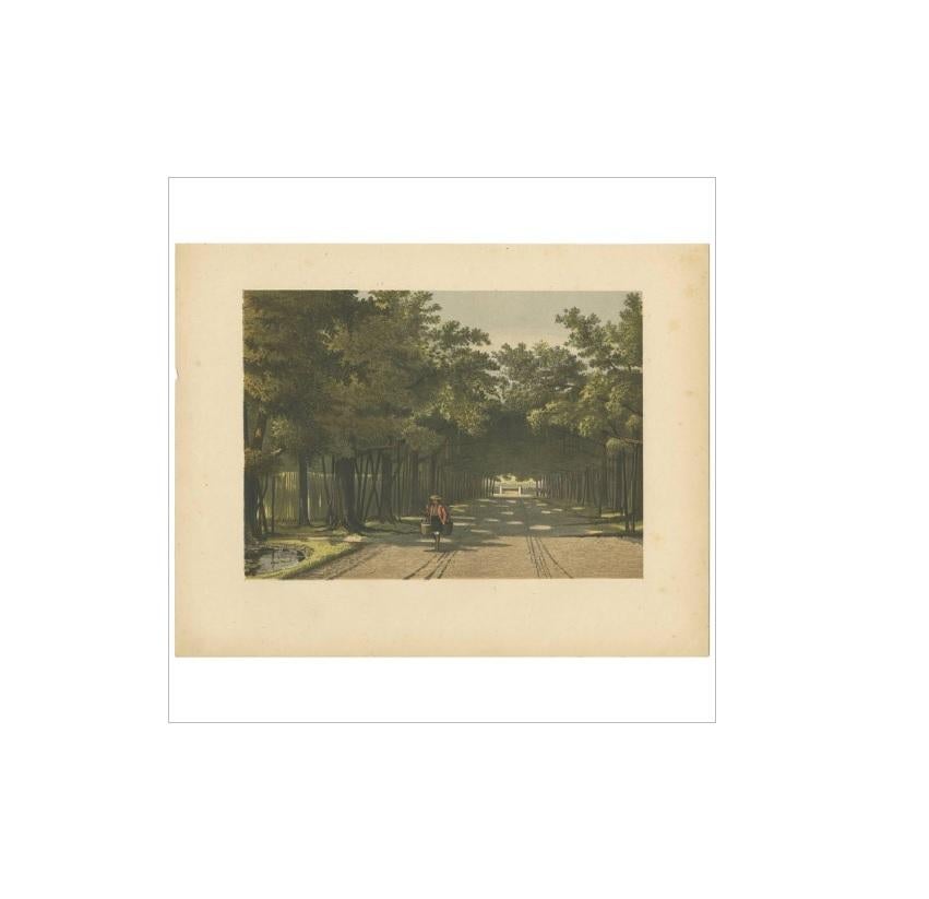 Antique print of the Royal Arboretum and the Wariengien Lane in Batavia, present day Jakarta on Java, Indonesia. This print originates from 'Het Kamerlid van Berkestein in Nederlandsch-Indie.', (translation: van Berkestein, member of the Dutch