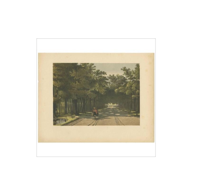 Antique Print of the Royal Arboretum in Batavia by M.T.H. Perelaer, 1888 In Good Condition For Sale In Langweer, NL