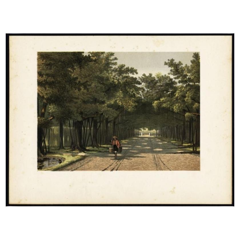 Antique Print of the Royal Arboretum in Batavia by Perelaer, 1888