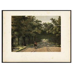 Antique Print of the Royal Arboretum in Batavia by Perelaer, 1888