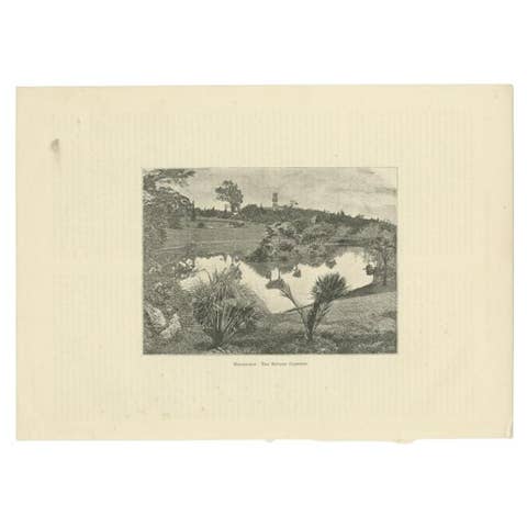 Antique Print of the Royal Botanic Gardens of Melbourne, Australia, c.1890
