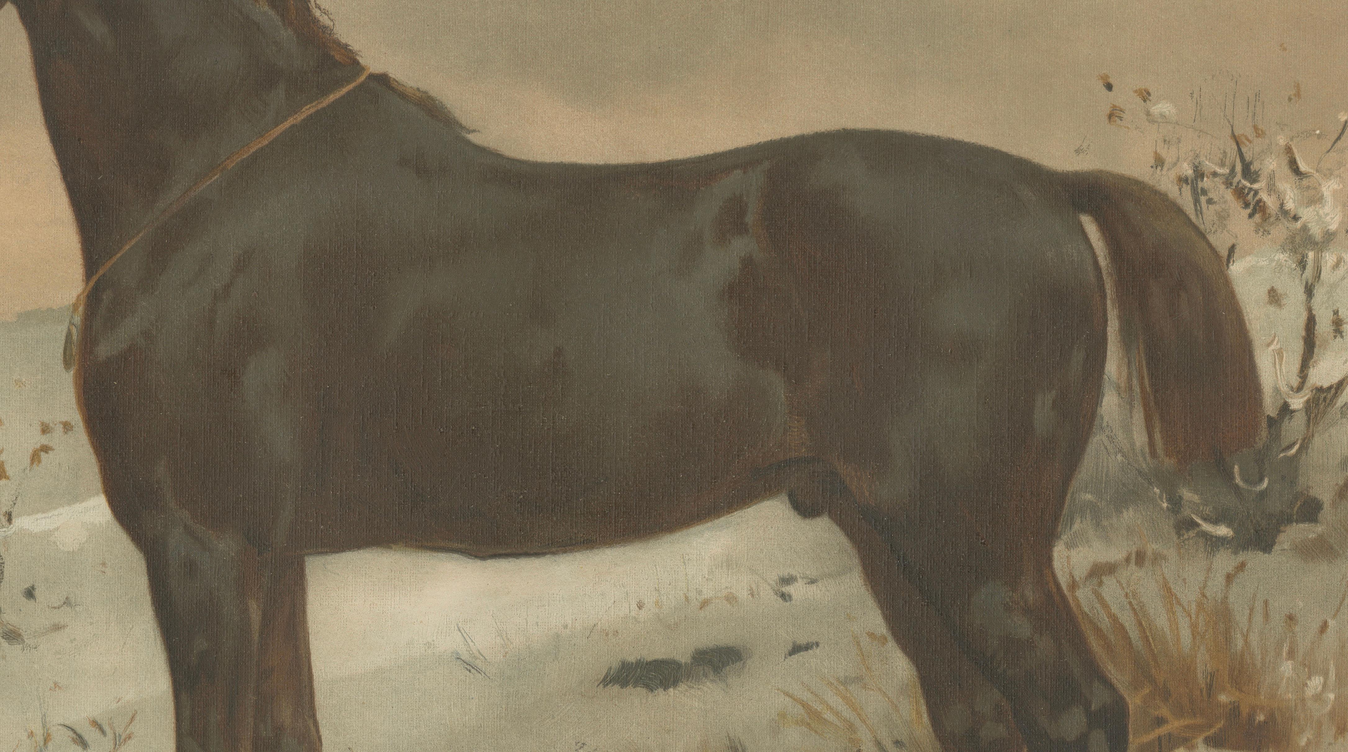 Antique Print of the Russian Half-Blood Horse by O. Eerelman, 1898