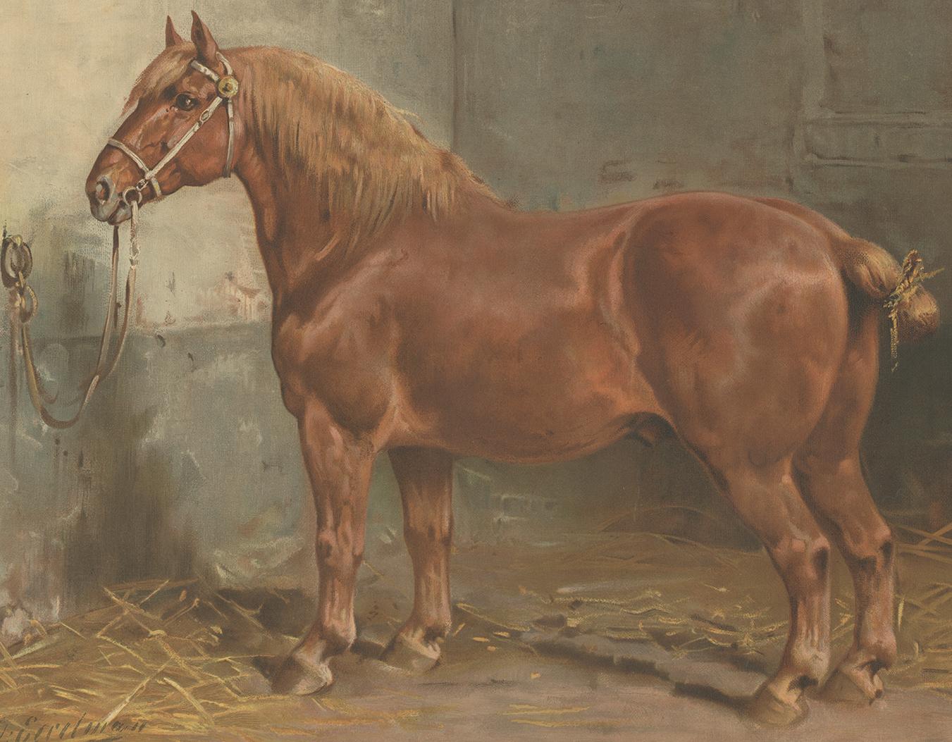 The lithograph depicting the Suffolk Horse, featured in the distinguished Dutch edition of 