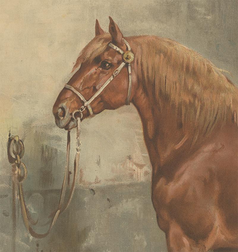 Antique Print of the Suffolk Horse by O. Eerelman, 1898 In Good Condition For Sale In Langweer, NL