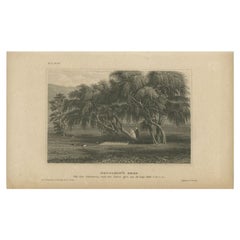 Antique Print of the Temporary Grave of Napoleon by Meyer, 1840