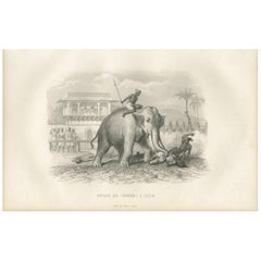 Stampa antica della tortura dei criminali a Ceylon di D'Urville del 1853