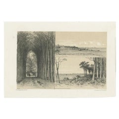 Stampa antica del villaggio frisone di Rijs e del lago Slotermeer, 1886