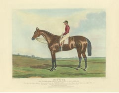 Antique Print of the Winning Horse 'Nutwith' and a Jockey 'c.1840'