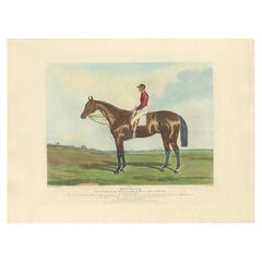 Impression ancienne du cheval ailé « Nutwith » et d'un Jockey (vers 1840)