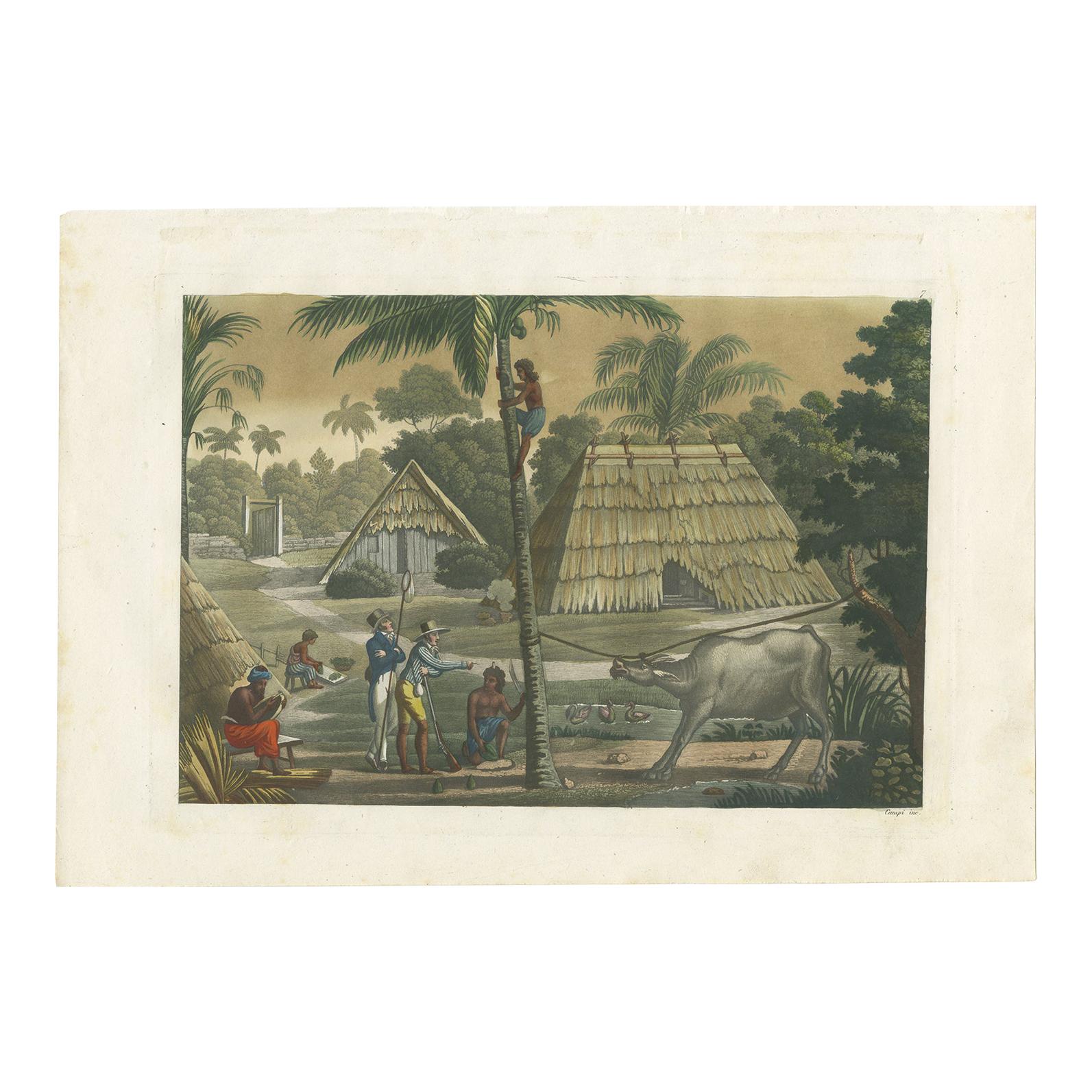 Stampa antica dell'isola di Timor vicino a Kupang di Ferrario, '1831