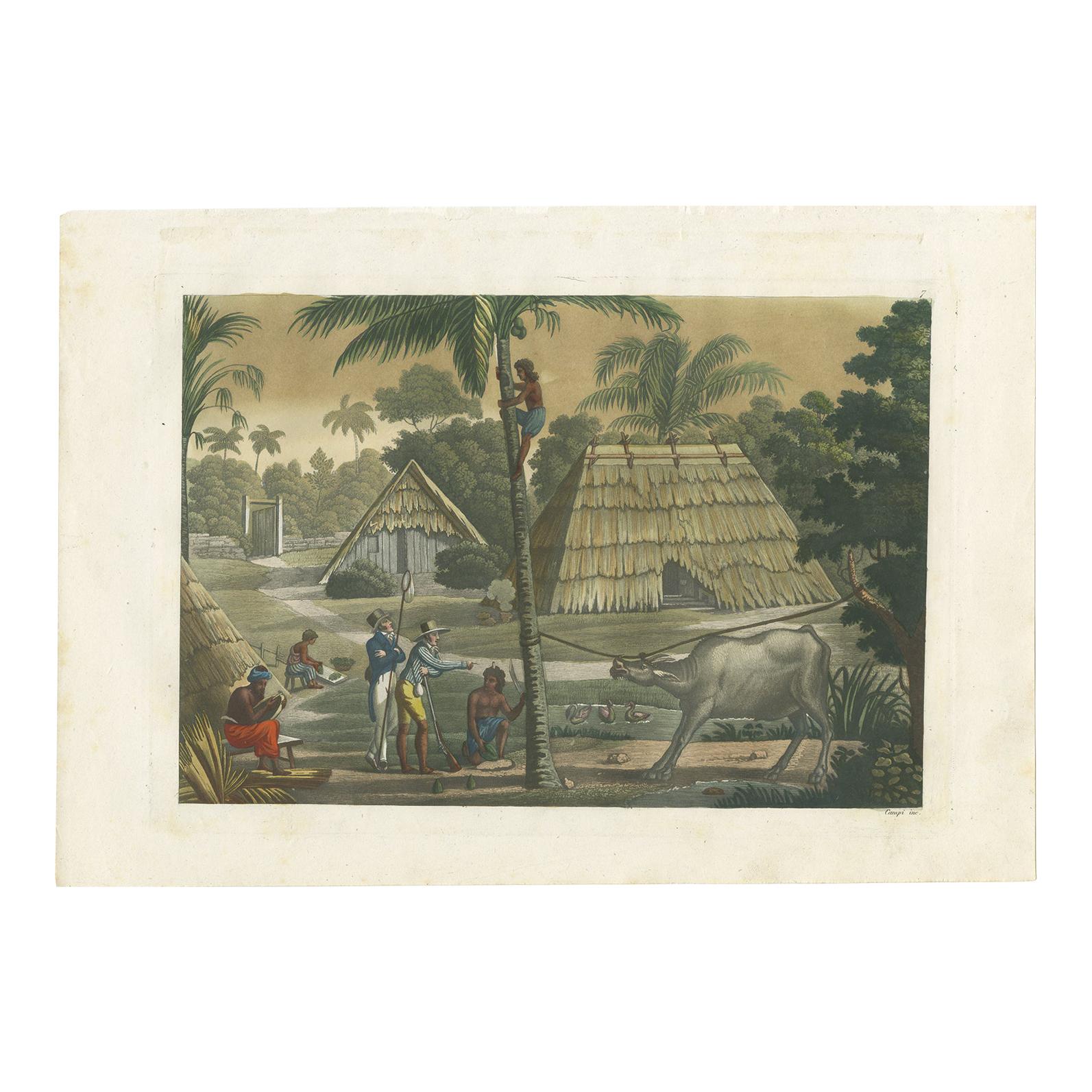 Antique Print of Timor Island Near Kupang by Ferrario, '1831'