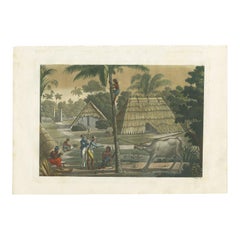 Antique Print of Timor Island Near Kupang by Ferrario, '1831'