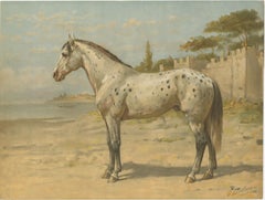 Impression ancienne de cheval turc par Eerelman, 1898