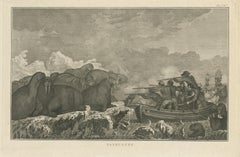 Antique Print of Shooting Walruses by Cook, 1803