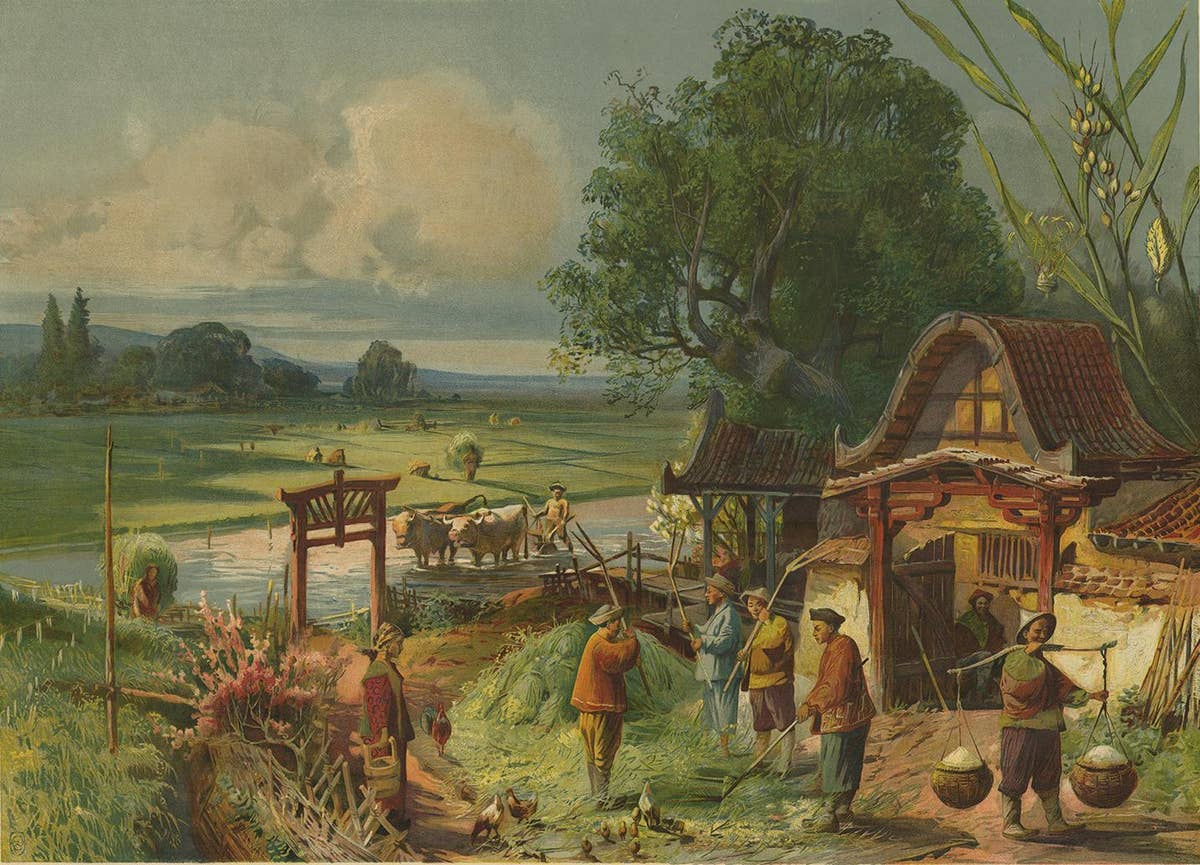 Antique Print 'Schoolplate' of a Rice Field by F.E. Wachsmuth, circa 1900