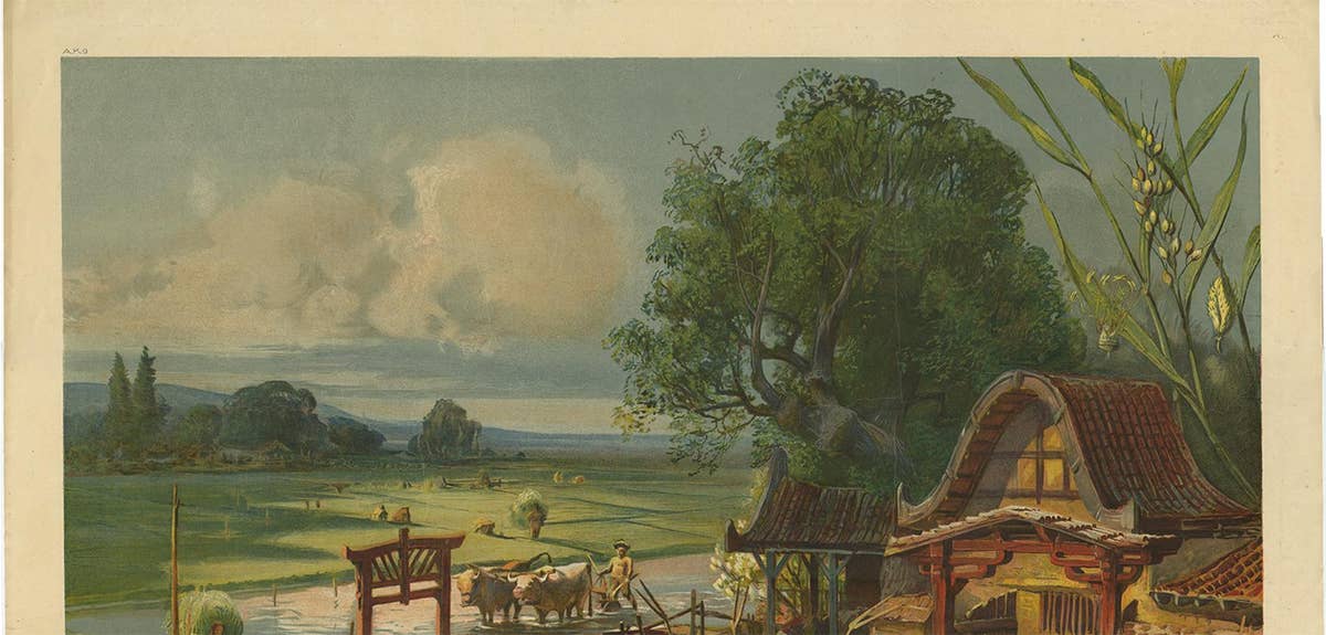 Antique Print 'Schoolplate' of a Rice Field by F.E. Wachsmuth, circa 1900