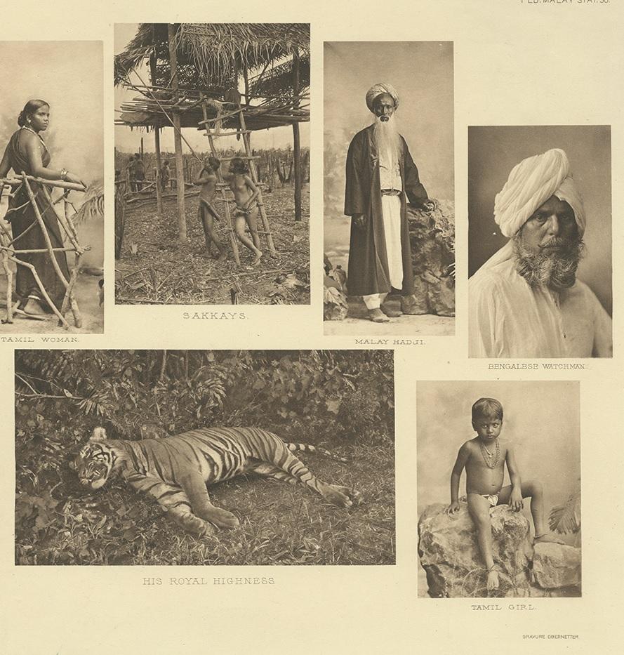 Antique Print Showing Various Malay People and a Tiger by Kleingrothe '1907' In Good Condition In Langweer, NL
