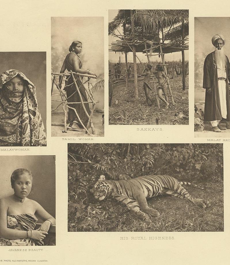 20th Century Antique Print Showing Various Malay People and a Tiger by Kleingrothe '1907'