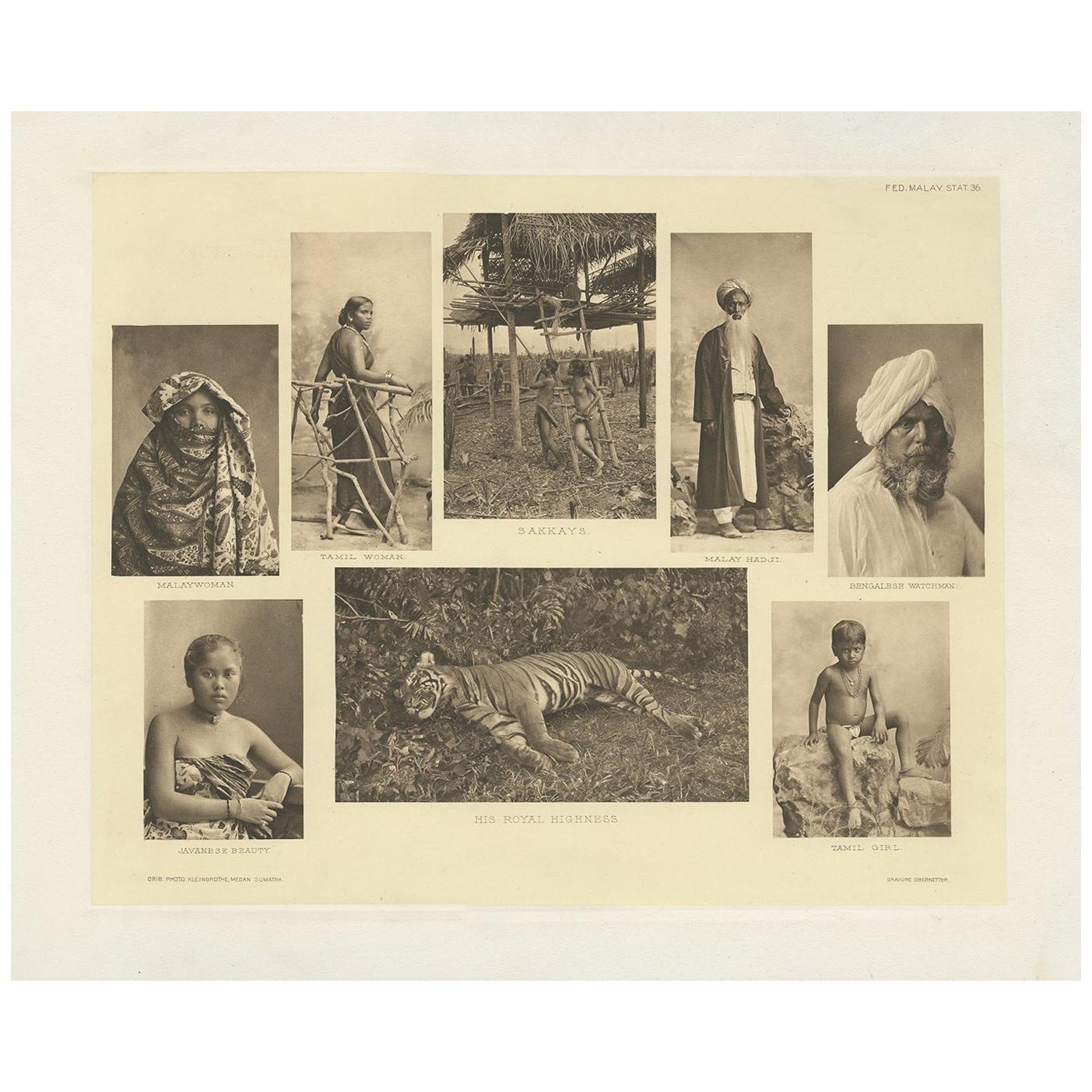 Antique Print Showing Various Malay People and a Tiger by Kleingrothe '1907'