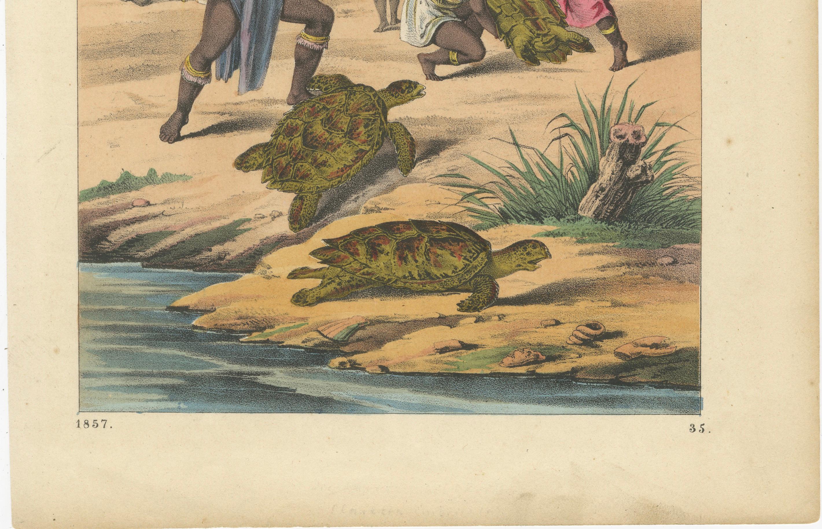German Antique Print – Turtle Hunting Scene in India, Hand-Colored Lithograph, 1857 For Sale