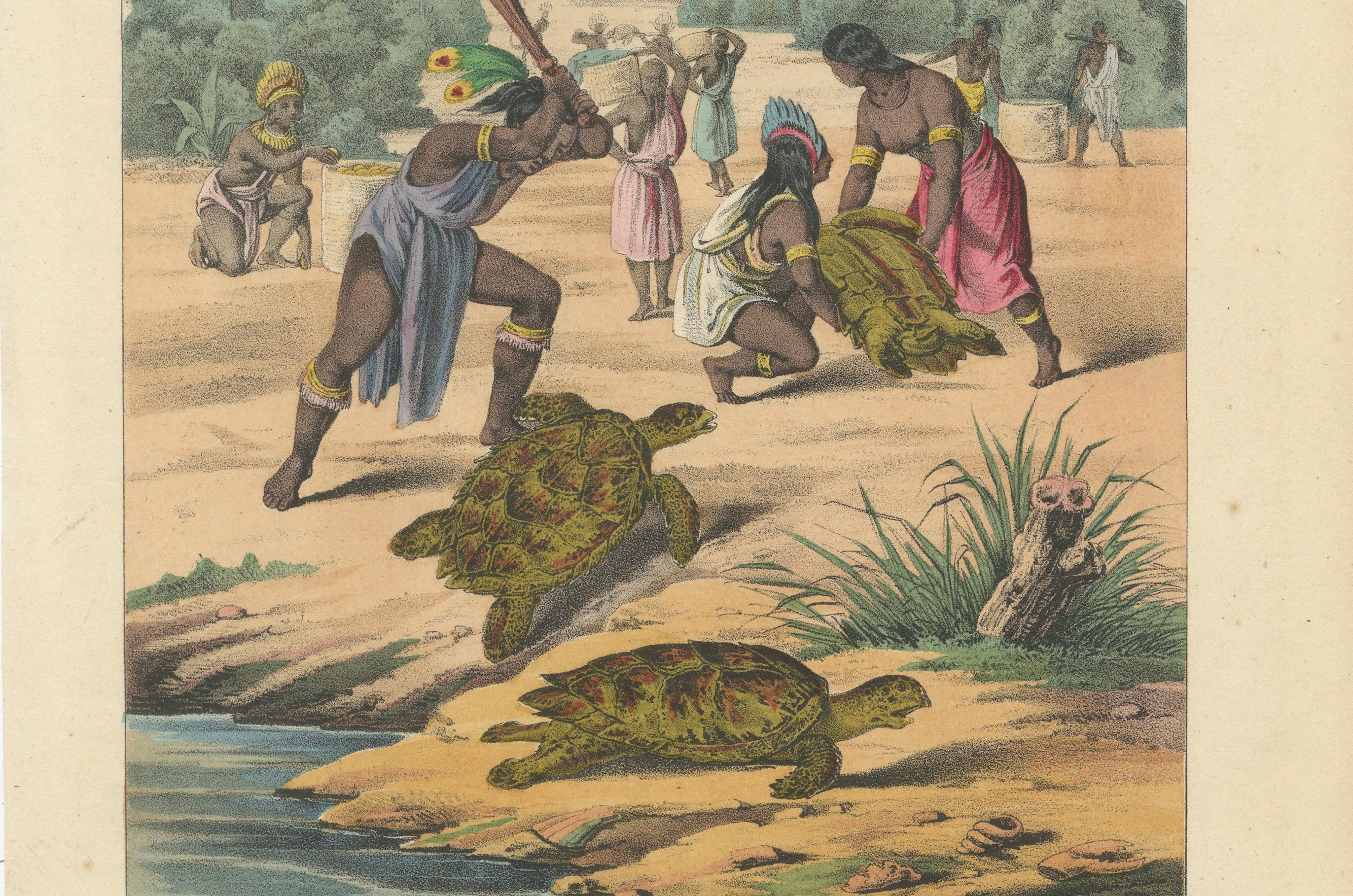 Antique Print – Turtle Hunting Scene in India, Hand-Colored Lithograph, 1857 For Sale 1