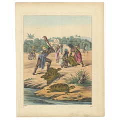 Grabado antiguo - Escena de caza de tortugas en la India, Litografía coloreada a mano, 1857