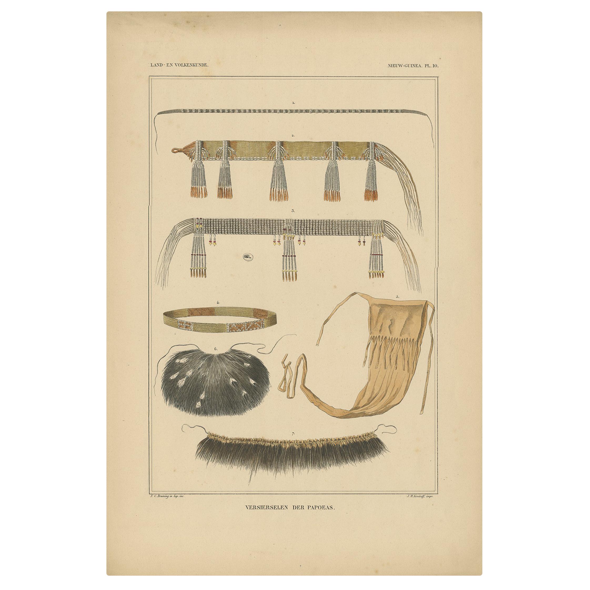 Grabado antiguo con decoraciones 'Nueva Guinea, Indonesia' de Temminck, circa 1840