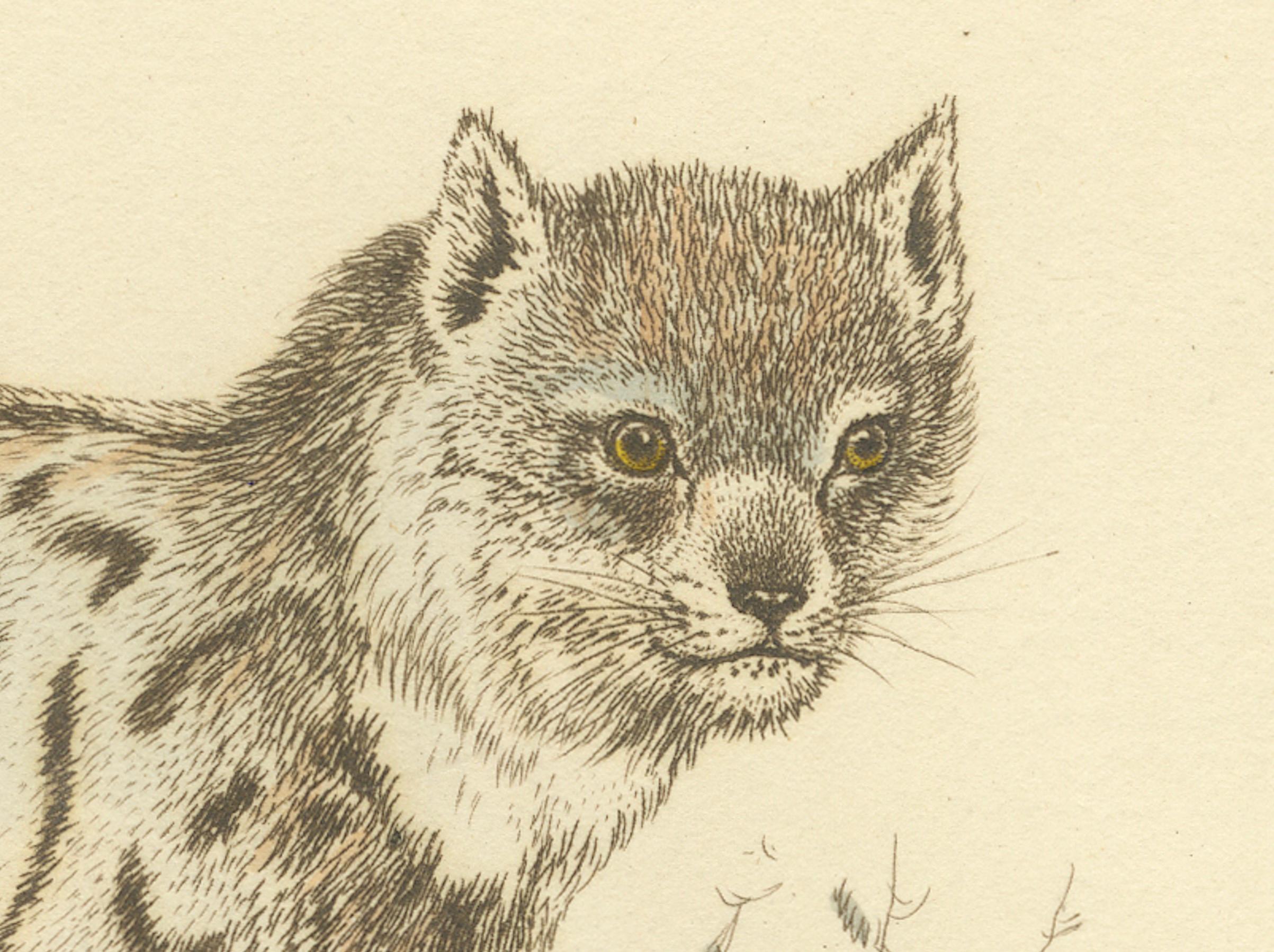 An original hand-coloured antique print featuring a Siberian lynx, which is a subspecies of the Eurasian lynx. This print, titled 'The Lynx of Siberia', would have been part of a work published by G.B. Whittaker and based on an illustration by