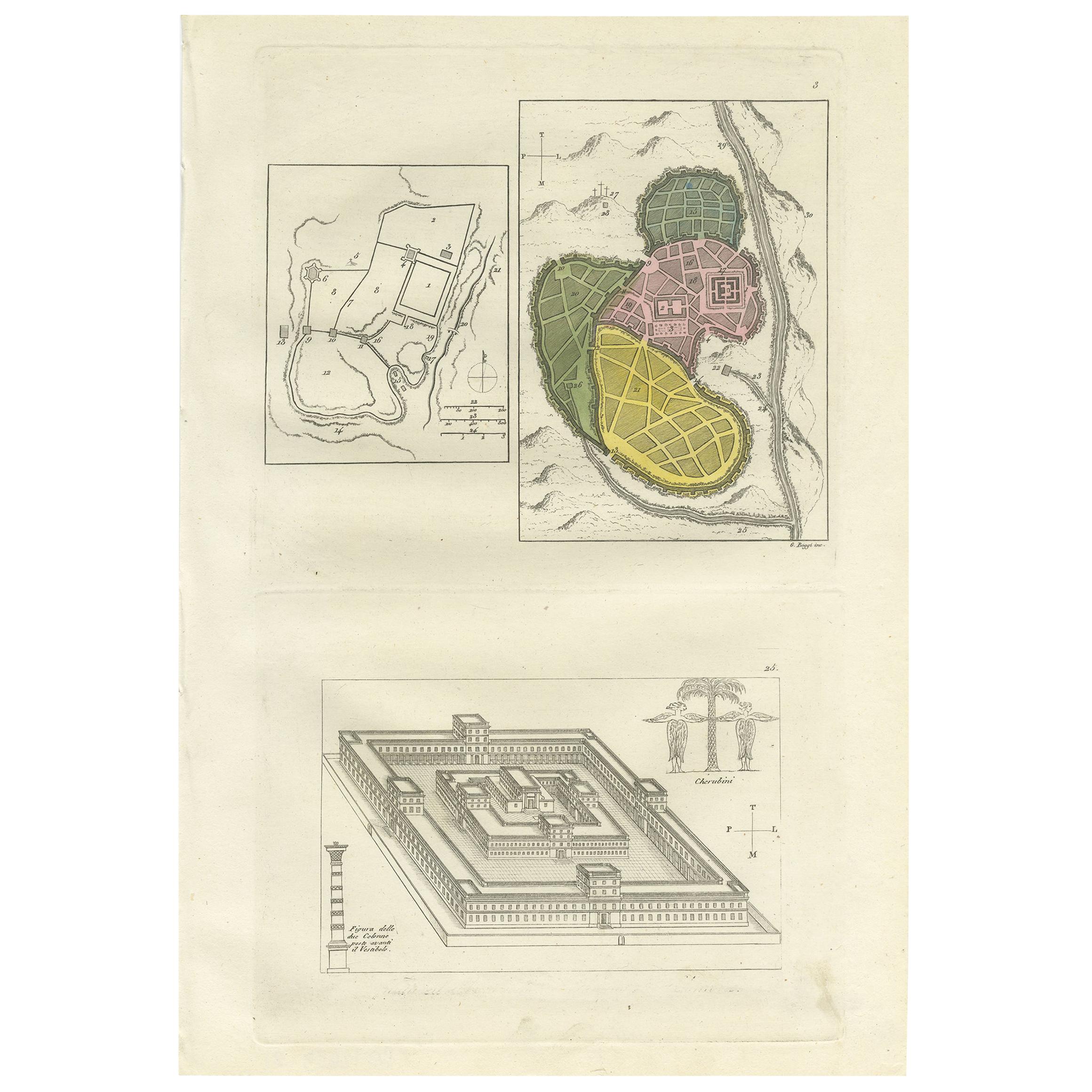 Antiker Druck mit Jerusalem-Pflanzen von Ferrario, '1831'