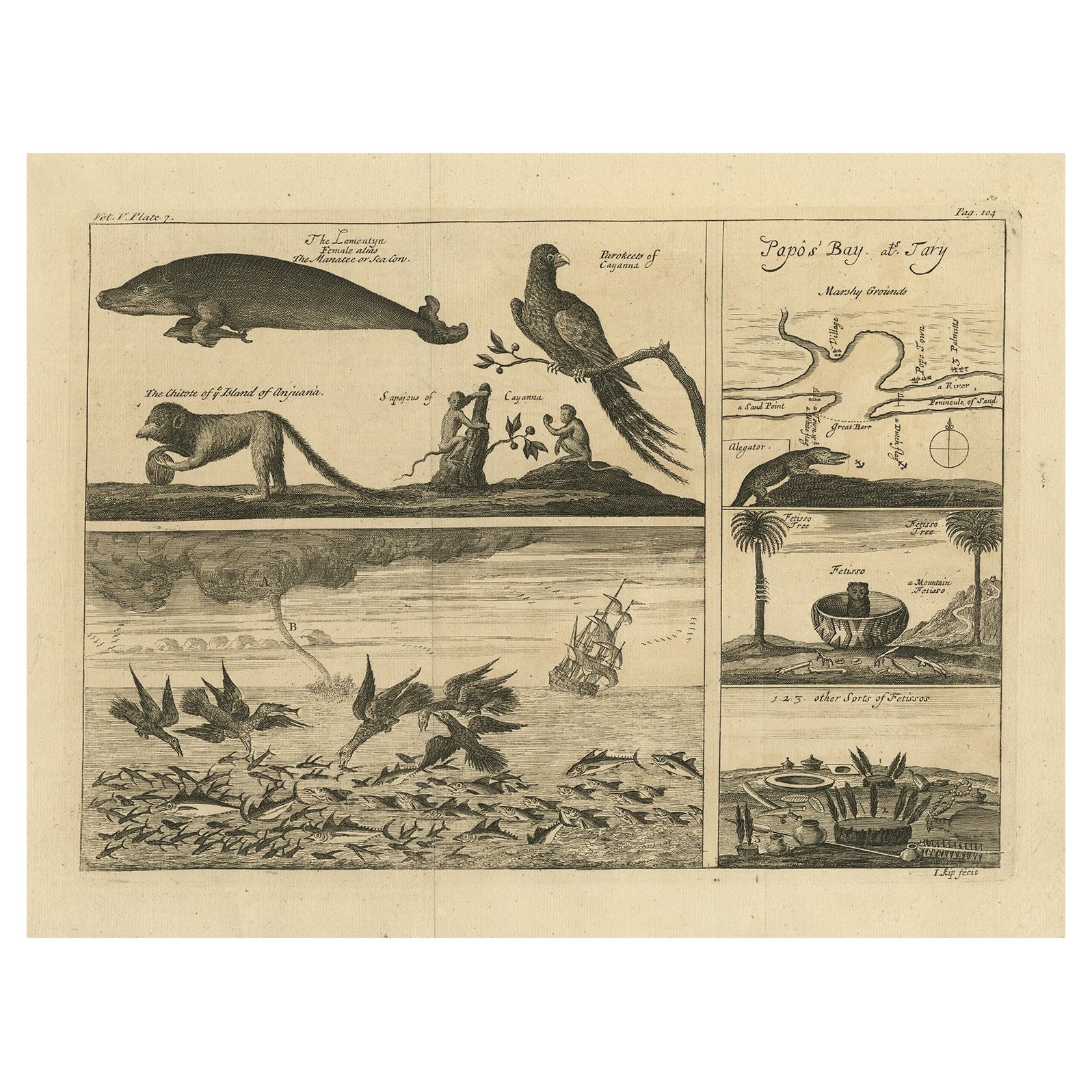 Impression ancienne avec diverses créations provenant d'un compte de voyage, 1744