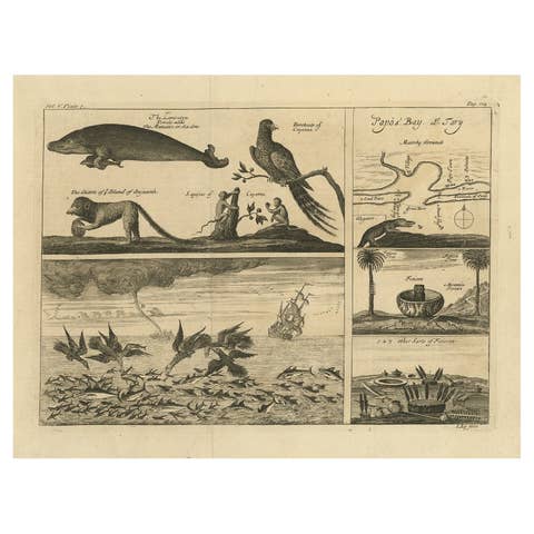 Antique Print with Various Creatures from A Travel Account, 1744