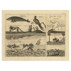 Impression ancienne avec diverses créations provenant d'un compte de voyage, 1744
