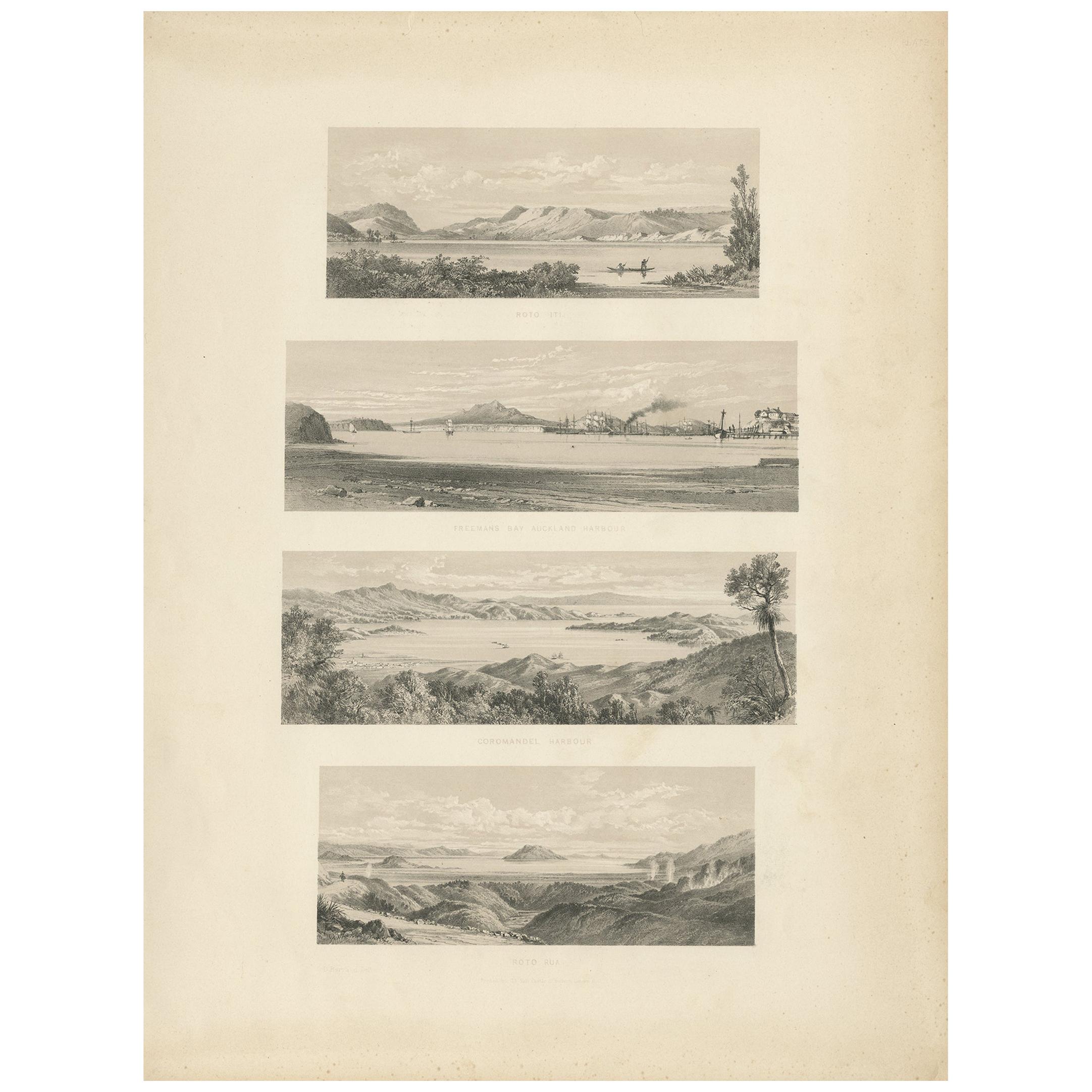 Antiker Druck mit verschiedenen Ansichten von Neuseeland von Kell, um 1877 im Angebot
