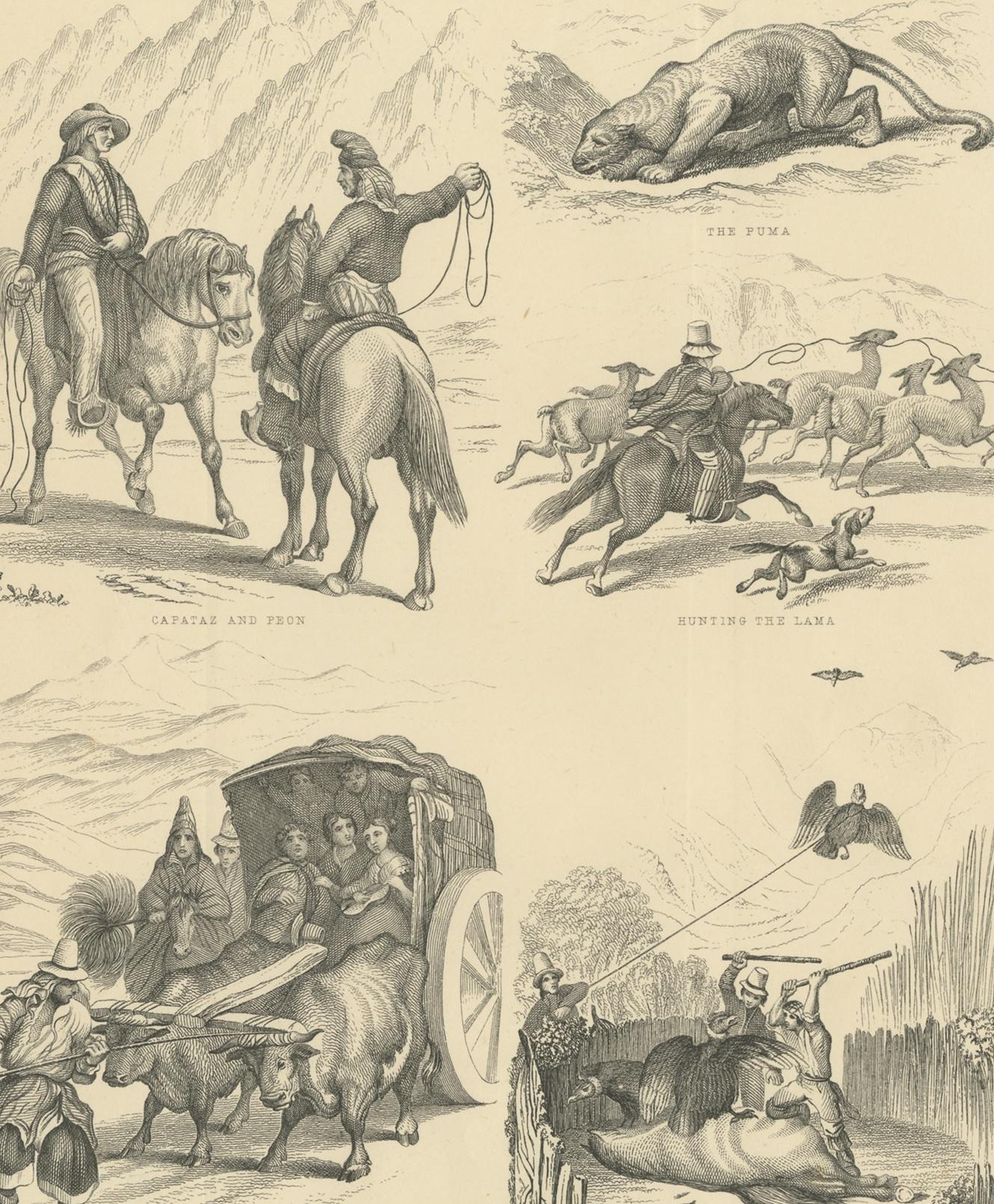 Antique print titled 'West Coast of South America I'. Lithographs with small views of Capataz and Peon - the Puma - Hunting the Lama - Travelling in Santiago - Chase of the Condor'. Published by Thomas G. Jack.