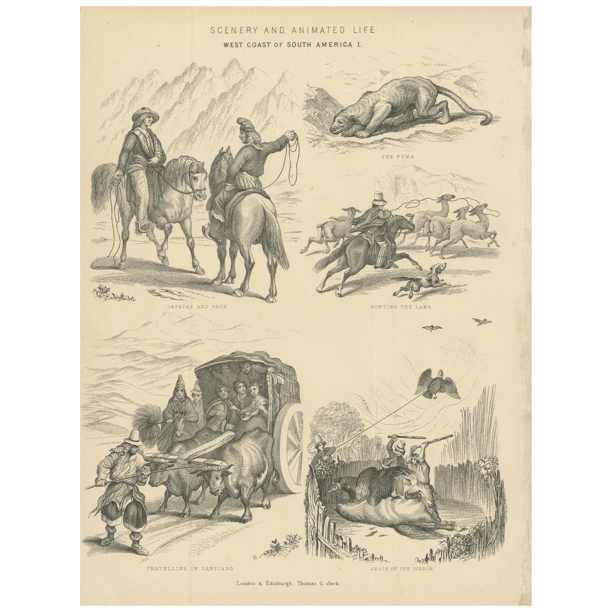 Antique Print with Views of South America, circa 1870
