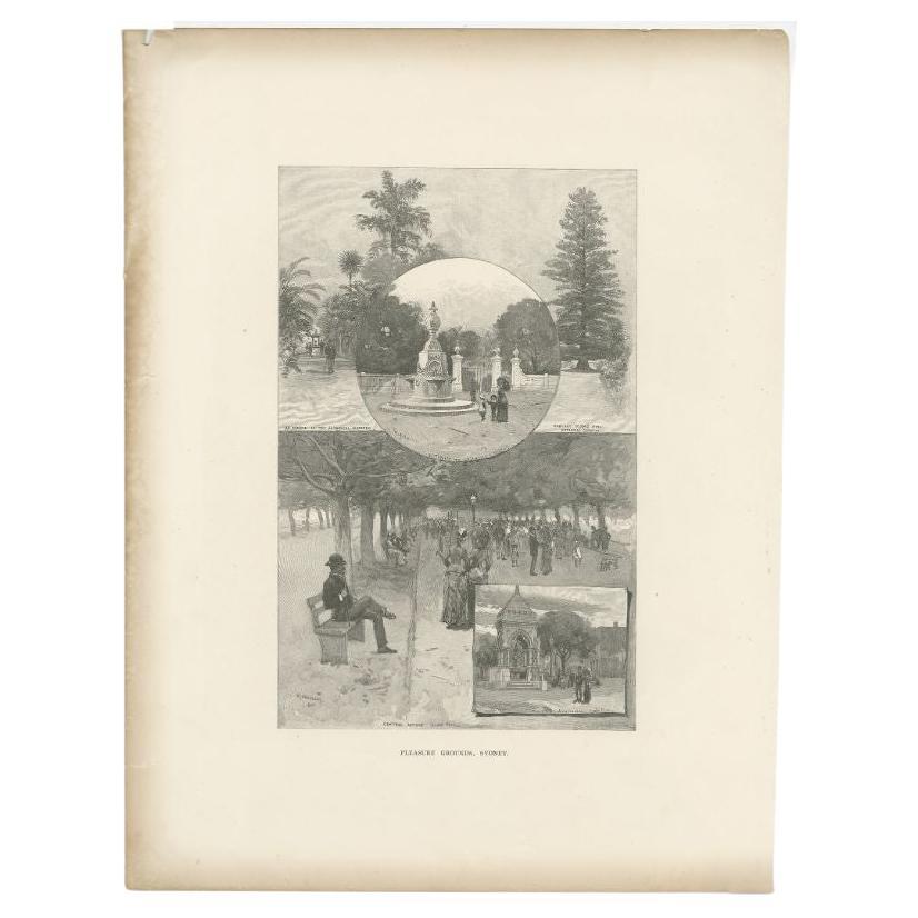 Antique print Sydney titled 'Pleasure Grounds, Sydney'. Old print with views of Sydney: entrance to Botanical Gardens, an Avenue in the Botanical Gardens, Norfolk Island Pine Botanical Gardens,  Fraser Drinking Fountain Hyde Park and Central Avenue