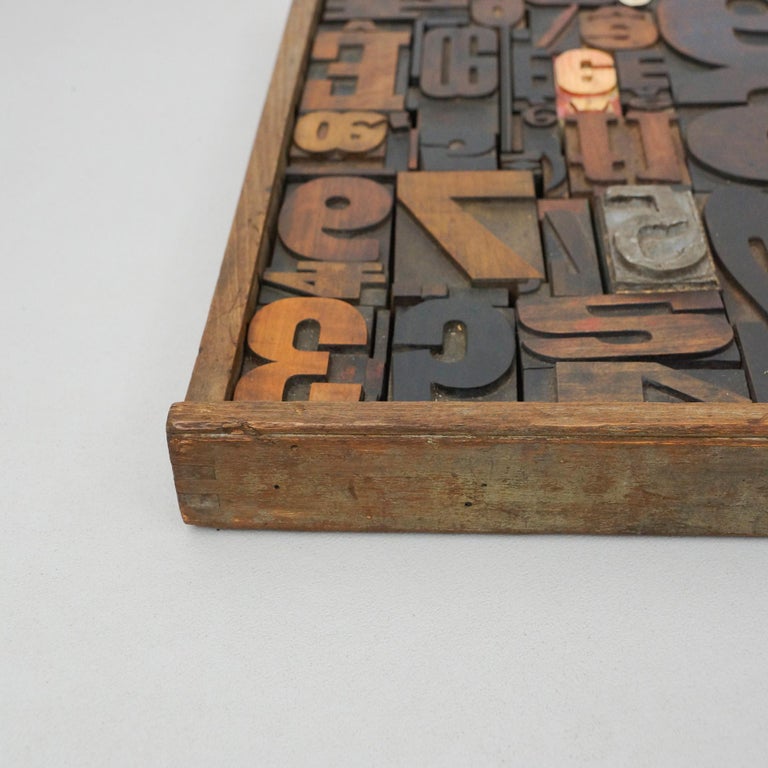 Mid-Century Modern Antique Printing Drawer with Metal Numbering, circa 1950 For Sale