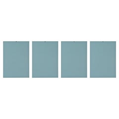 Stampe antiche con pesci Edizione latina