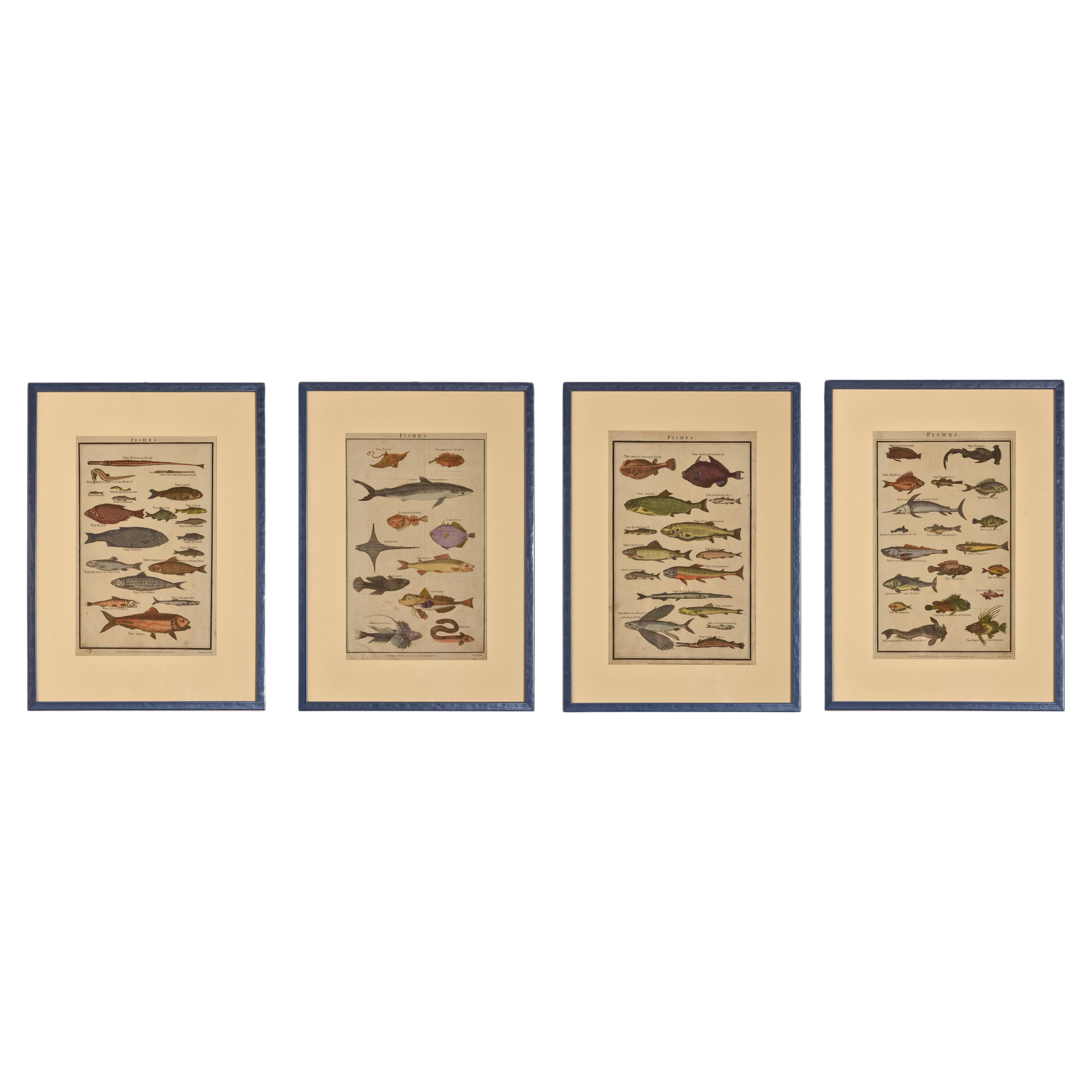 Antique Prints with Fishes