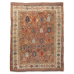 Alfombra Antigua Qashqai Shekarlou 5'8'' x 7'7''