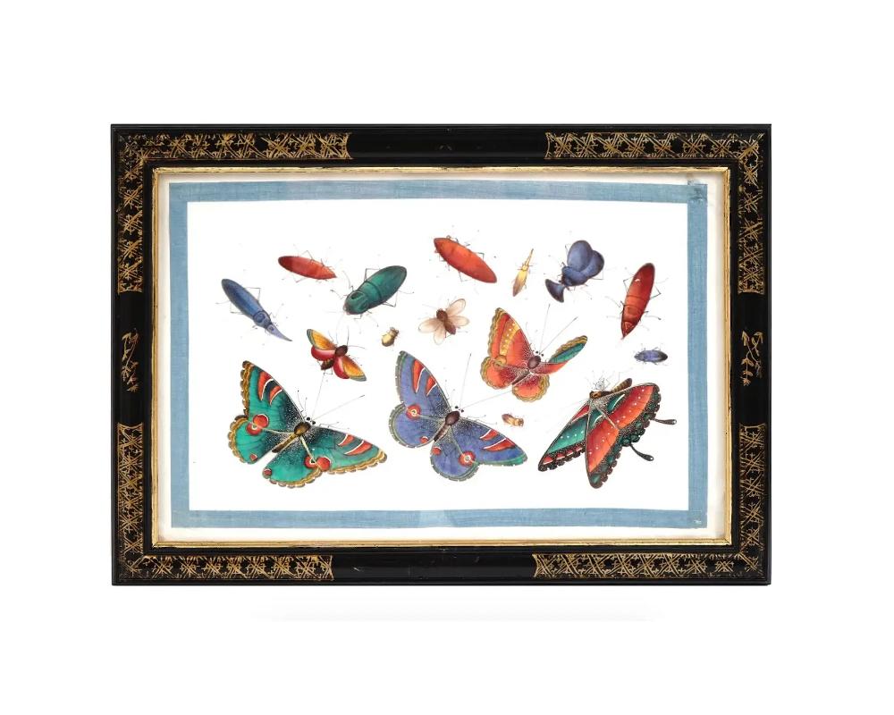 A collection of six color on rice paper compositions with bright and highly detailed paintings of butterflies and other insects, unidentified artist late Qing dynasty, 1644 to 1911. All six artworks are framed in the same style. One of a kind