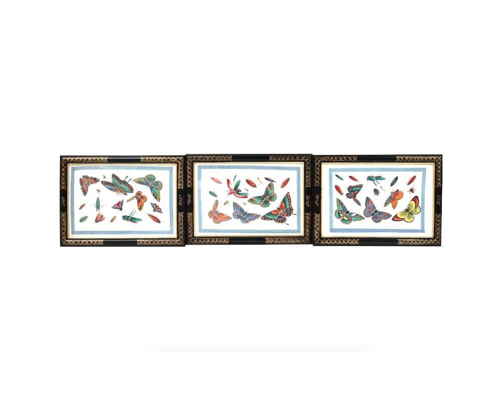 Paper Antique Qing Chinese Butterflies Paintings, 19th Century For Sale