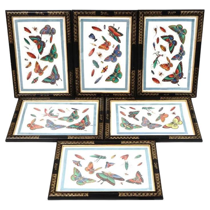 Antique Qing Chinese Butterflies Paintings, 19th Century For Sale