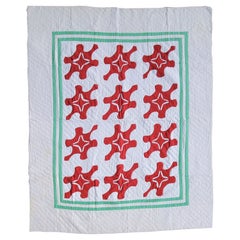 Vintage Quilt Folky Turtles Applique Quilt