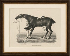 Antique Racehorse Training Scene, Hullmandel Sporting Lithograph c.1840