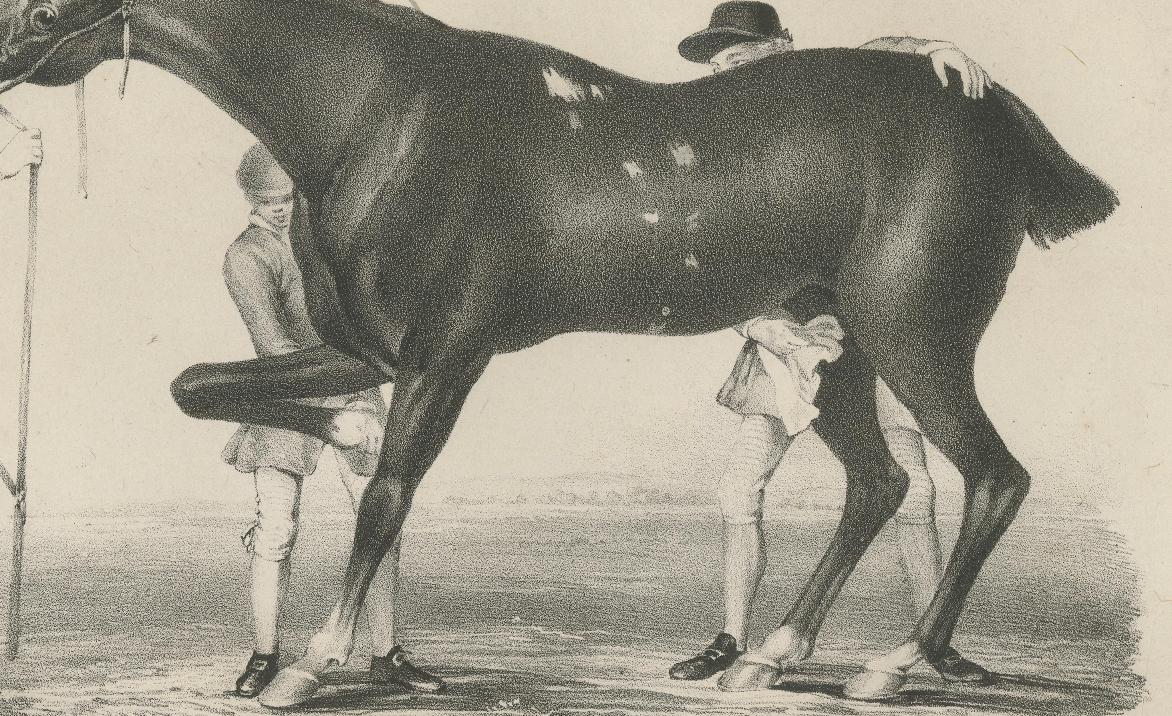 Antique Racehorse Training Scene, Hullmandel Sporting Lithograph c.1840