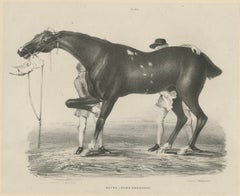 Antique Racehorse Training Scene, Hullmandel Sporting Lithograph c.1840